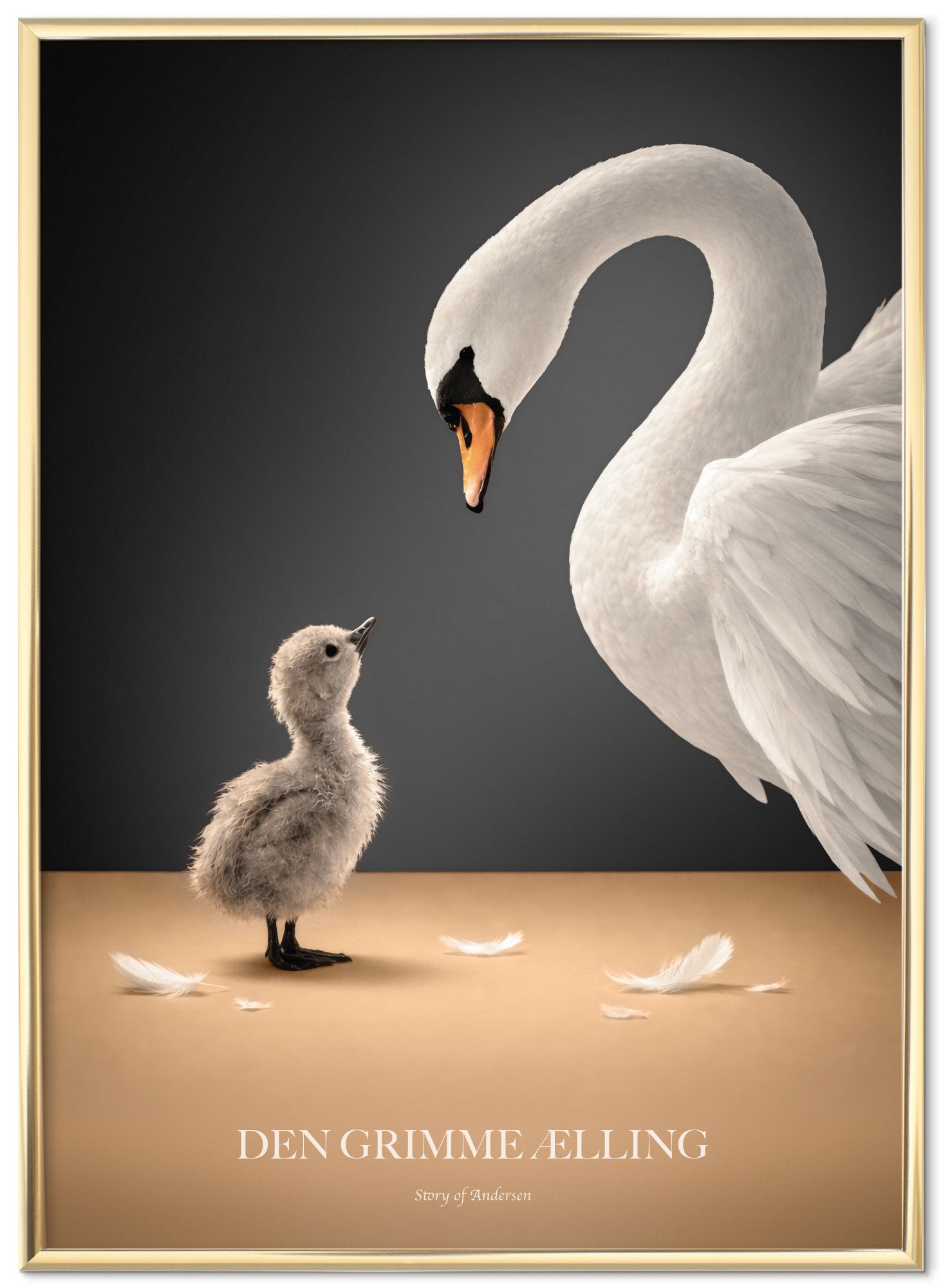 Plakat – H.C. Andersen Story – Den Grimme Ælling