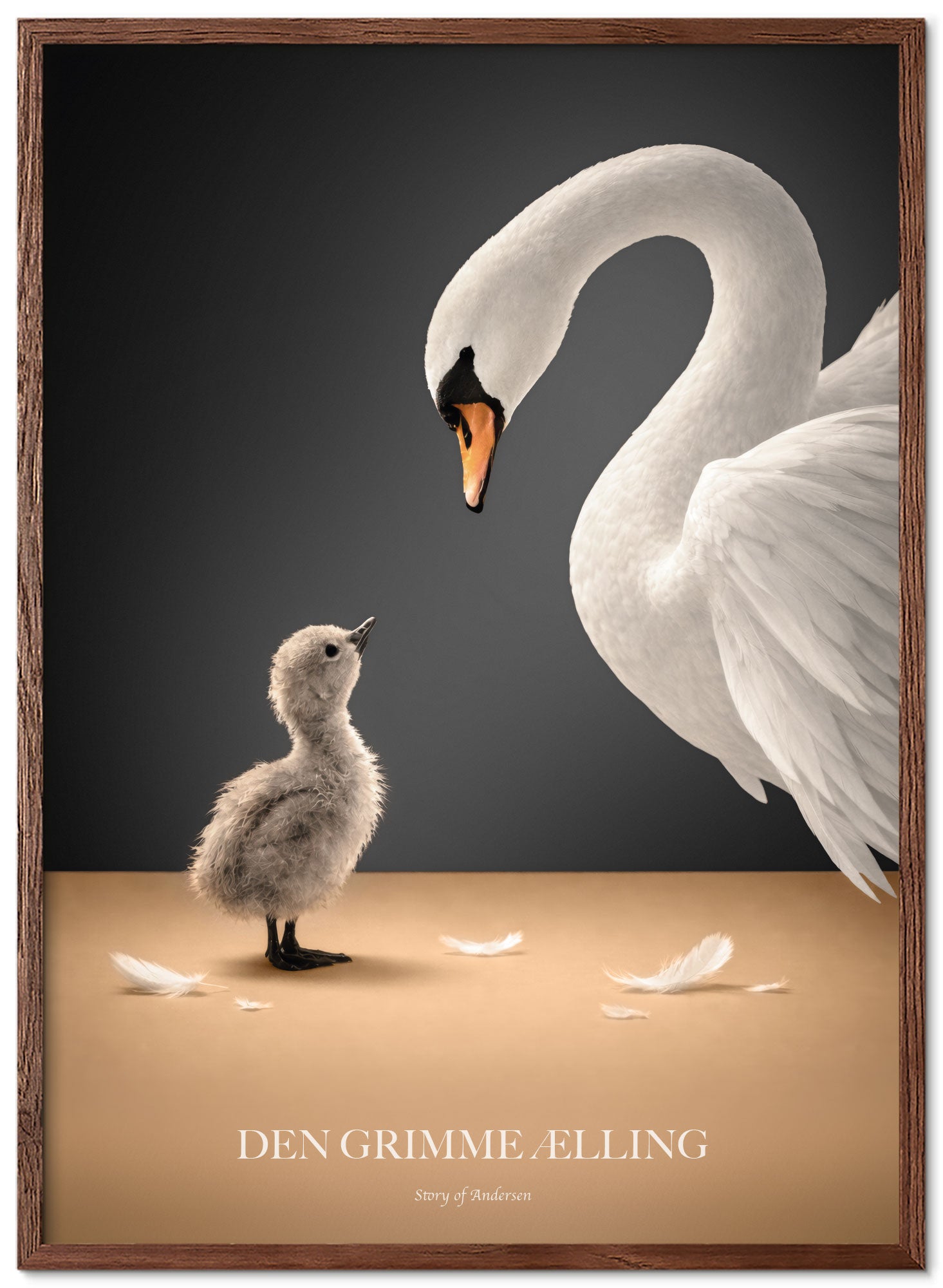 Plakat – H.C. Andersen Story – Den Grimme Ælling